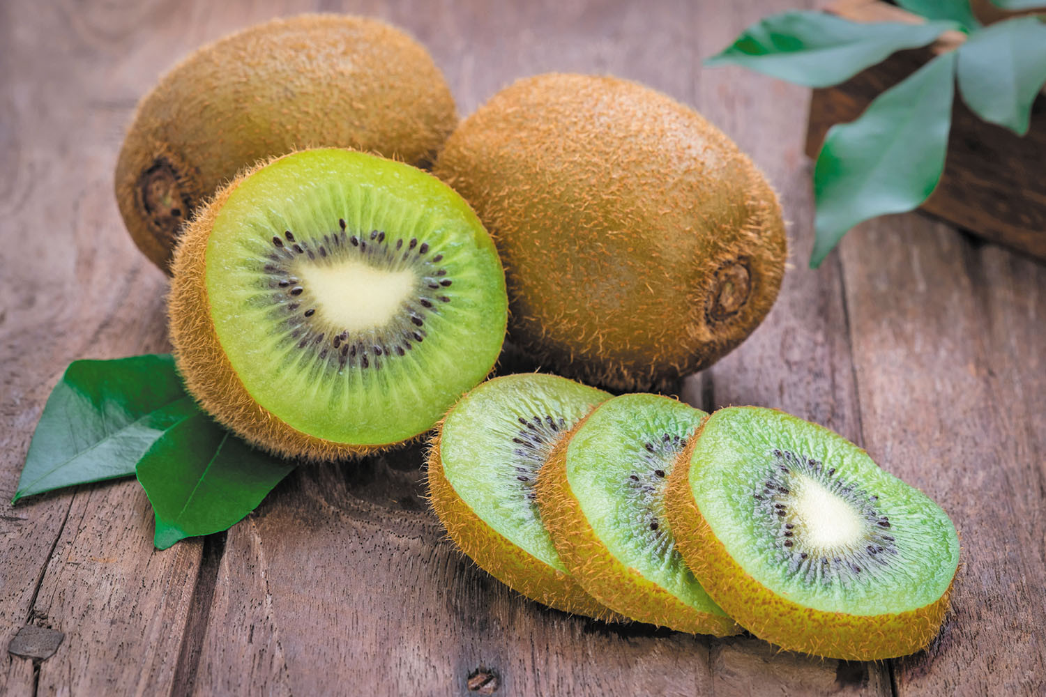 Kiwi